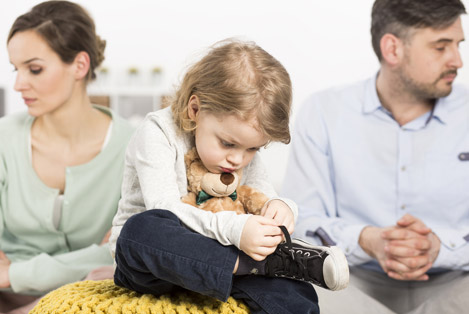 Family lawyer